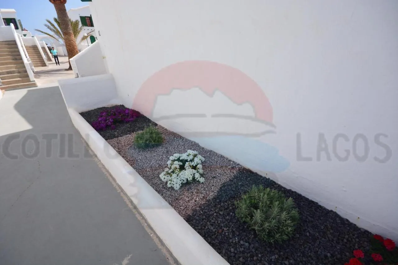 Cotillo Lagos 0*,